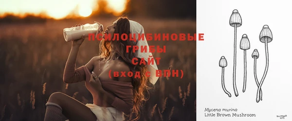 дживик Алексин