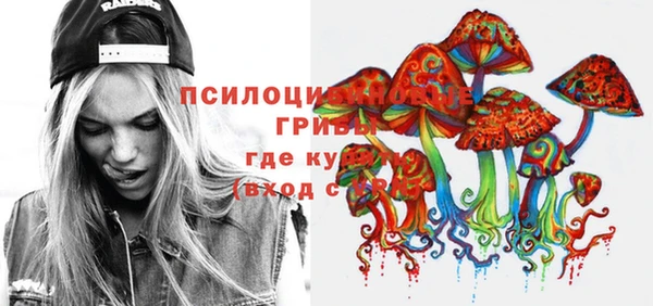 дживик Алексин
