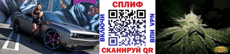 наркошоп  Ноябрьск  hydra ссылка  Шишки марихуана планчик 